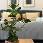 ホームステイ Quarto Grande Com Varanda, Wc Partilhado リスボン
